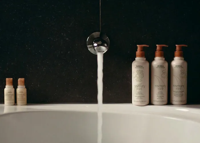 Hotel Gastronomique De Echoput 5*