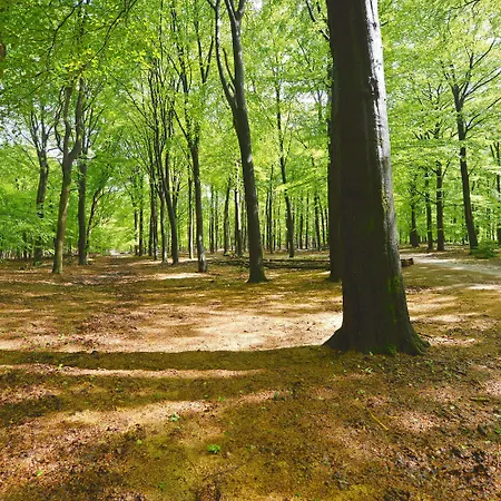 Gastronomique De Echoput Apeldoorn